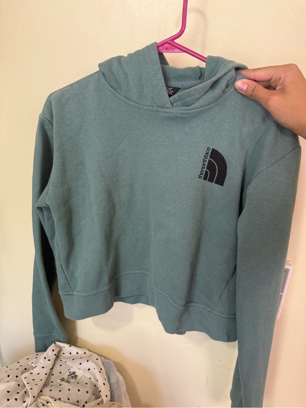 Girls The North Face Hoodie